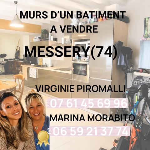 Immeuble dans Messery