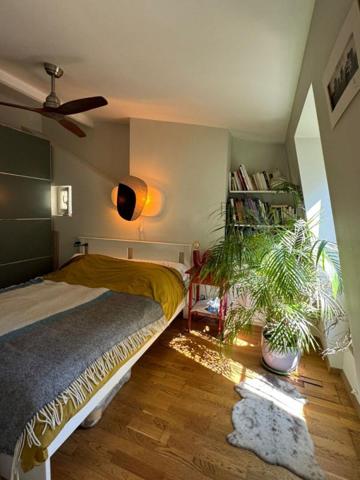 Magnifique 3 pièces 46m2 Buttes Chaumont Jourdain Paris 19