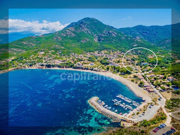 Terrain à vendre de 3 380 m² GALERIA (Corse)