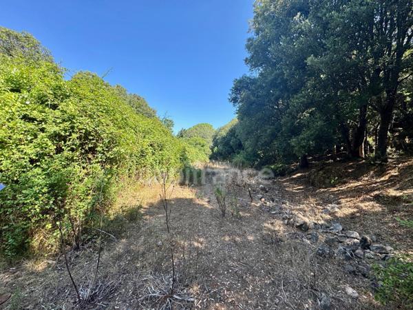 Terrain à vendre de 3 380 m² GALERIA (Corse)