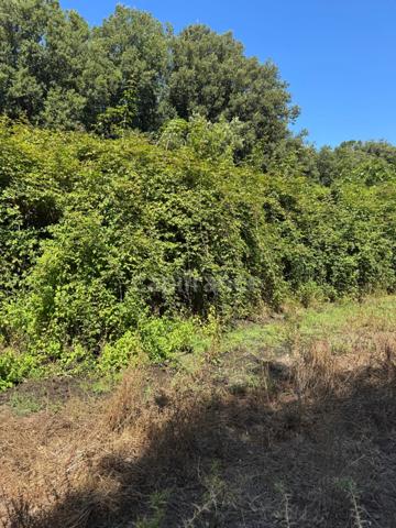 Terrain à vendre de 3 380 m² GALERIA (Corse)