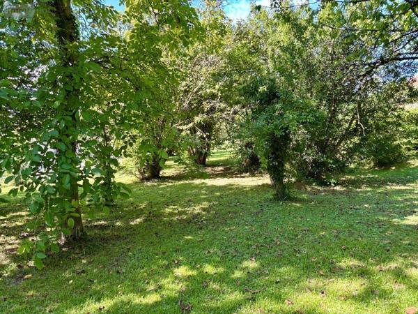 Terrain à Batir à vendre à Damparis dans le Jura (39500), ref : 39034-888