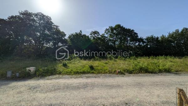 À seulement quelques minutes des plages et du centre de Pornichet, découvrez ce terrain viabilisé de 420 m², situé au fond d'une impasse dans un environnement calme.

✔ Terrain viabilisé
✔ Libre de constructeur
✔ Lotissement récent
✔ Quartier résidentiel recherché
✔ Accès rapide à Saint-Nazaire et à la voie express

Ce terrain est idéal pour construire une maison familiale ou une résidence principale dans un secteur recherché.

Prix : 206 910 € FAI.

Contactez moi pour recevoir le plan, le règlement du lotissement ou organiser une visite.