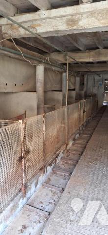 BASSOUES, ancienne ferme et dépendance 44 hectares avec 2 étangs.