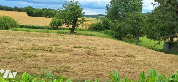 BASSOUES, ancienne ferme et dépendance 44 hectares avec 2 étangs.