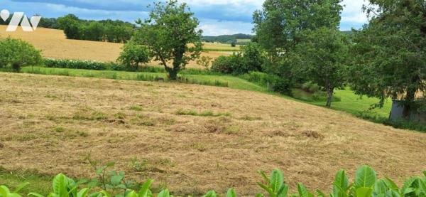 BASSOUES, ancienne ferme et dépendance 44 hectares avec 2 étangs.