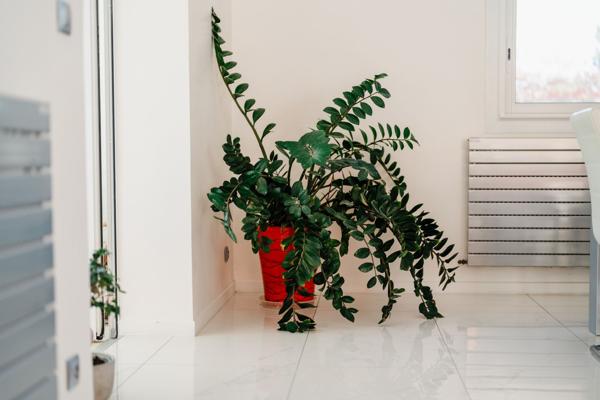 Vente Maison de luxe Perpignan 8 Pièces 258 m²