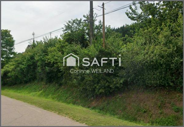 Terrain à bâtir de 710 m² à Hallering – Cadre verdoyant entre Metz et Saint-Avold - Façade de 28m