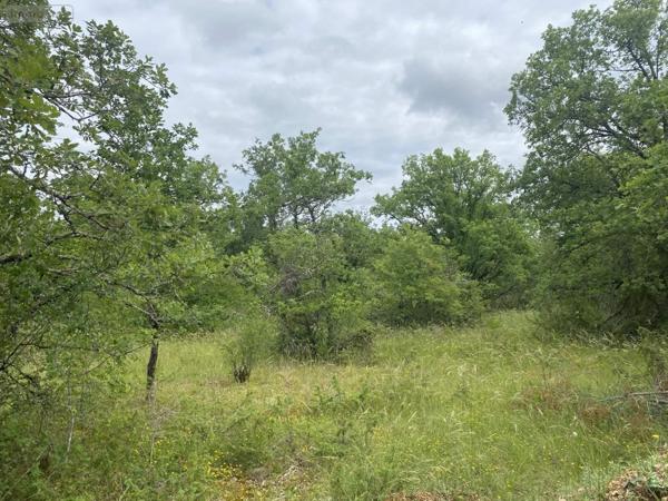 Terrain à Batir à vendre à Lalbenque dans le Lot (46230), ref : 009/1730