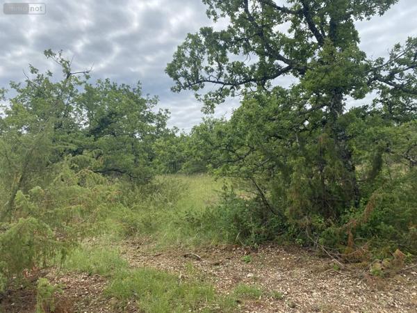 Terrain à Batir à vendre à Lalbenque dans le Lot (46230), ref : 009/1730