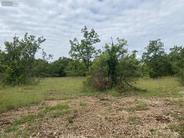 Terrain à Batir à vendre à Lalbenque dans le Lot (46230), ref : 009/1730