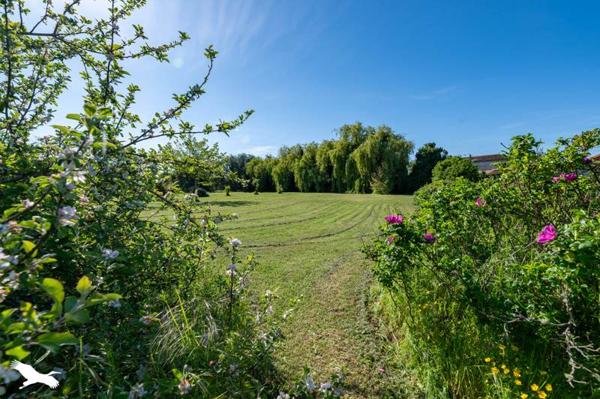 Maison à vendre 223 650 € Valeyrac 7 p 215 m² DPE E