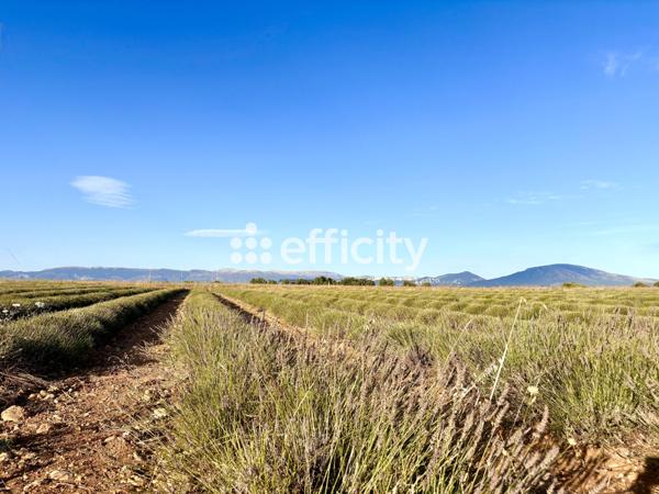 Maison 4 pièces - 105 m² Exclusivité efficity