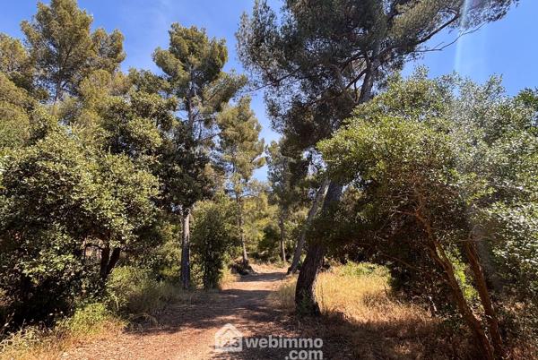 Appartement 70.5 m² à Marseille 13009