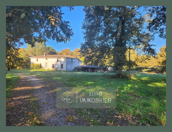 Maison ancienne à renover-3 chambres-  grandes dépendances -3ha de terrain-Salles-Gironde-Aquitaine
