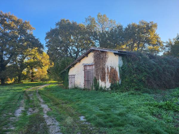 Maison ancienne à renover-3 chambres-  grandes dépendances -3ha de terrain-Salles-Gironde-Aquitaine