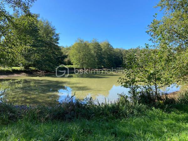 Terrain de loisirs de 26 062 m²