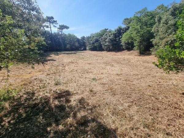 EXCLUSIVITÉ ST-GEORGES D'OLERON (17) Très beau terrain constructible 3.060m² emplac N°1 à 300mt plage côte Ouest