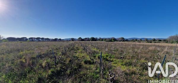 Terrain à vendre 6 360 m² Rivesaltes