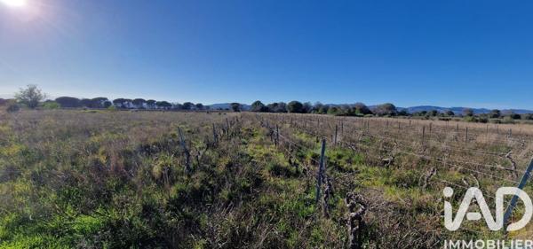 Terrain à vendre 6 360 m² Rivesaltes