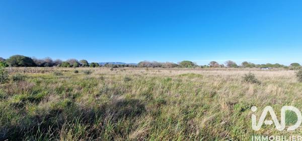 Terrain à vendre 6 360 m² Rivesaltes