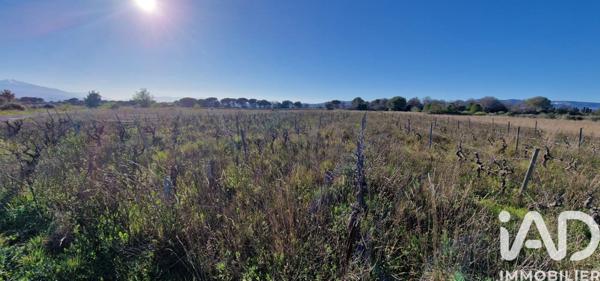 Terrain à vendre 6 360 m² Rivesaltes