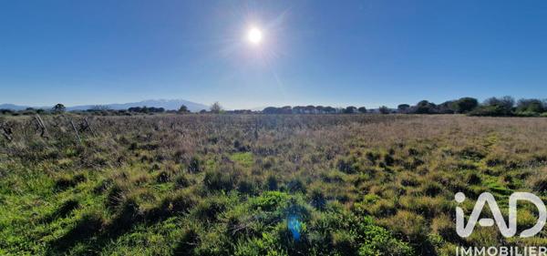 Terrain à vendre 6 360 m² Rivesaltes