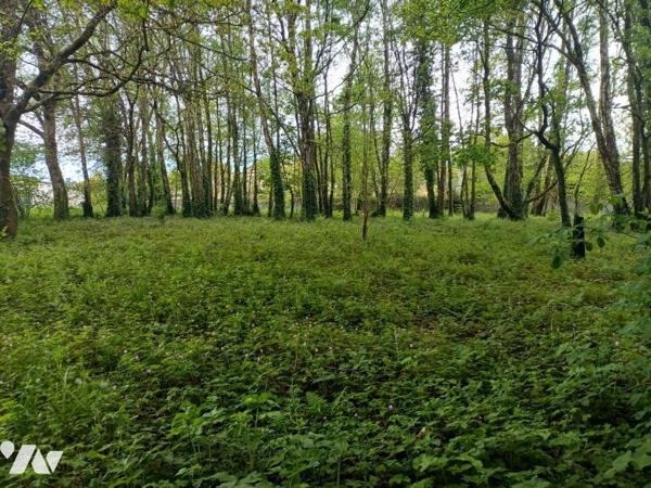 Vente Terrain à bâtir à LE FAOUET