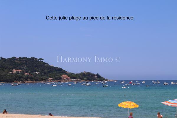 Résidence les pieds dans l’eau au calme avec piscine.