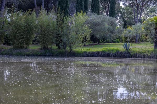 Villa 8 pièces 233 m² avec piscine sur 1 hectare à Roquebrune-sur-Argens