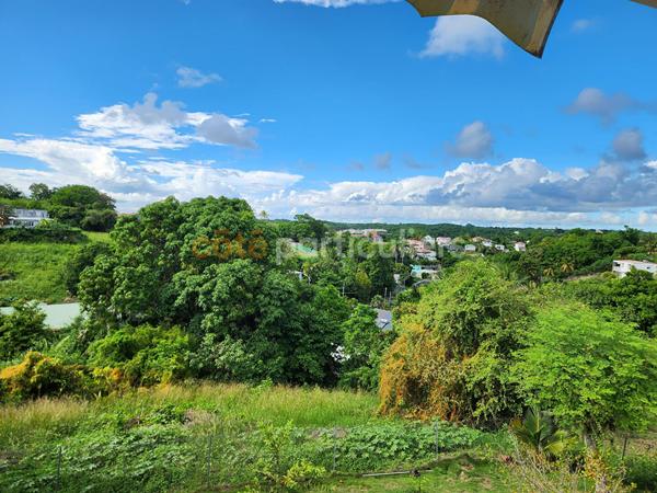 Vente
                Terrain1094 m² - LE GOSIER (97190)