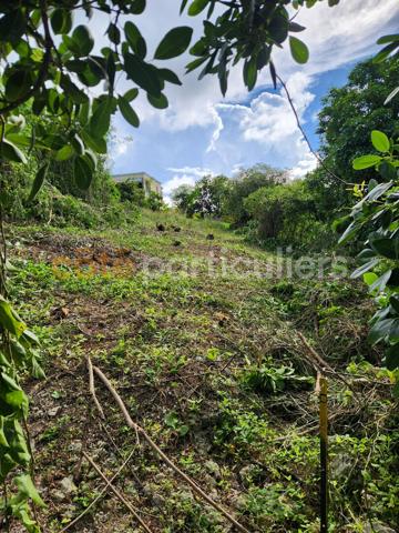 Vente
                Terrain1094 m² - LE GOSIER (97190)
