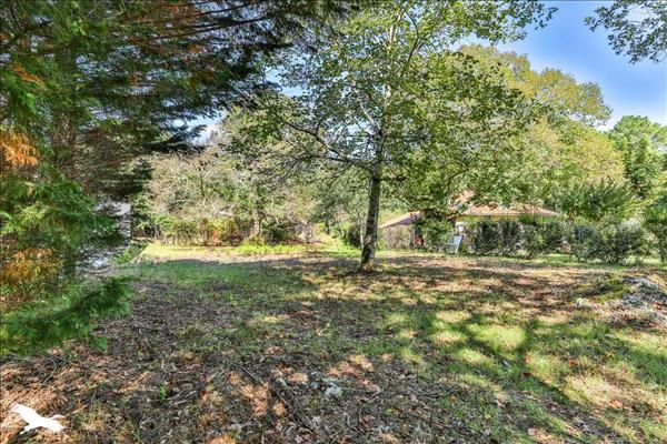 Maison à vendre |  Labenne |  1 pièce | 200 m²