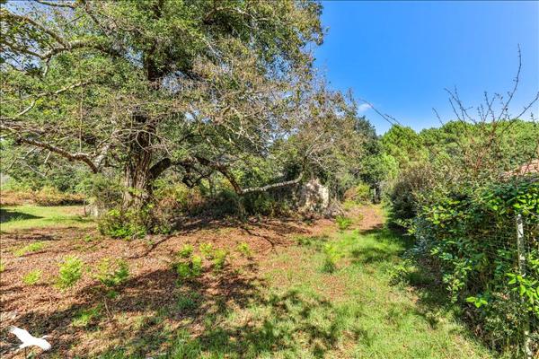 Maison à vendre |  Labenne |  1 pièce | 200 m²