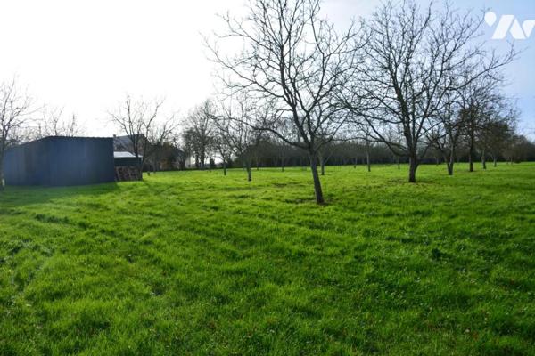 Vente sur la commune de Grez en Bouere un terrain arboré