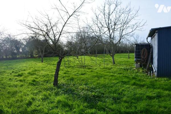 Vente sur la commune de Grez en Bouere un terrain arboré