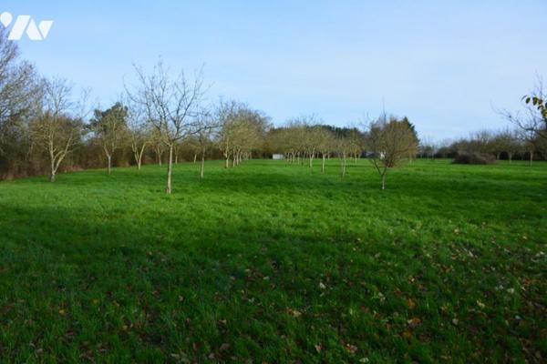 Vente sur la commune de Grez en Bouere un terrain arboré