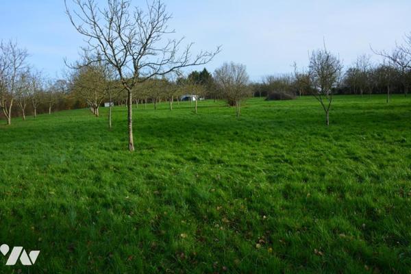 Vente sur la commune de Grez en Bouere un terrain arboré