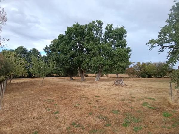 Propriété la campagne 7600m2 de terrain pas de travaux