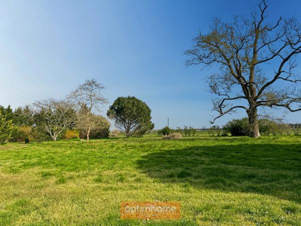 Authentique Landaise de caractère, 316 m² habitables sur 8000 M2. Cadre paisible