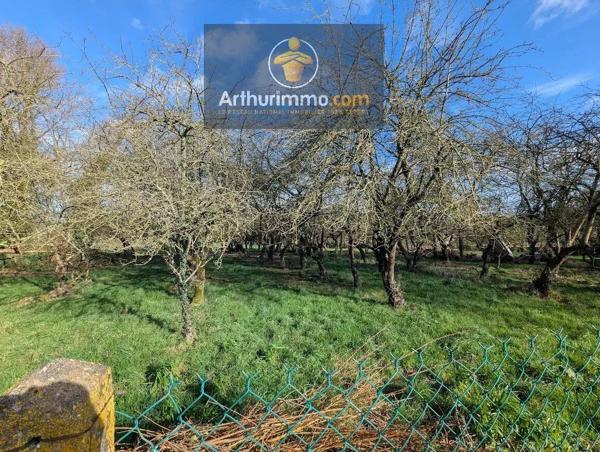 Vente                                                      Maison
                        
                     3 pièces                      56 m2                     à Guégon