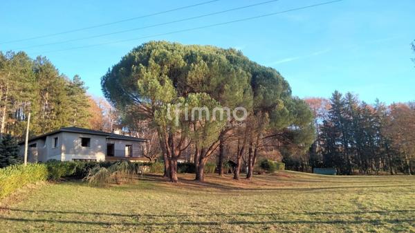 Maison avec 16000m² de terrain