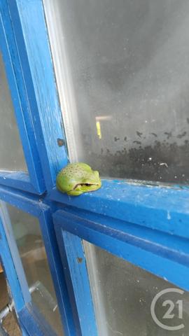 Maison à vendre  7 pièces - 140 m2 BEAUVOIR SUR MER - 85