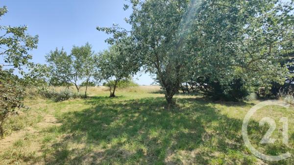 Maison à vendre  7 pièces - 140 m2 BEAUVOIR SUR MER - 85