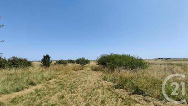 Maison à vendre  7 pièces - 140 m2 BEAUVOIR SUR MER - 85