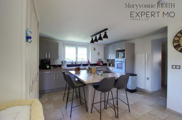 Villiers-sur-Morin (77580) Appartement avec Jardin - Patio - Box