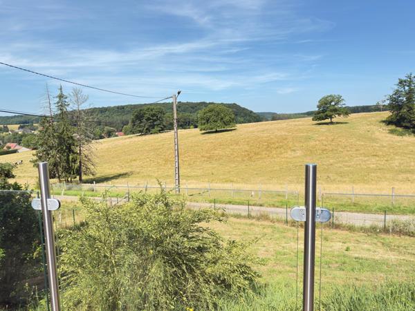 Maison de 90 m2 avec pension canine sur terrain de 2207 m2.