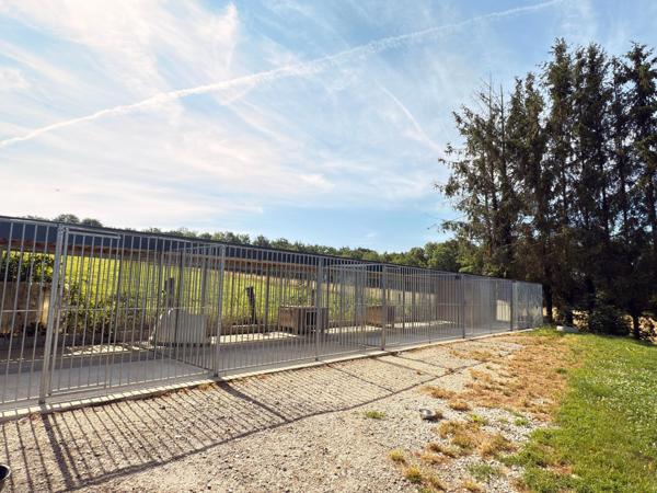 Maison de 90 m2 avec pension canine sur terrain de 2207 m2.