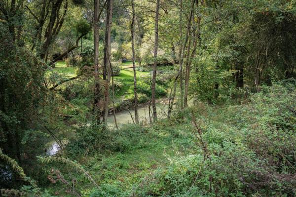 Terrain de loisirs, pêche, détente, Voie Verte