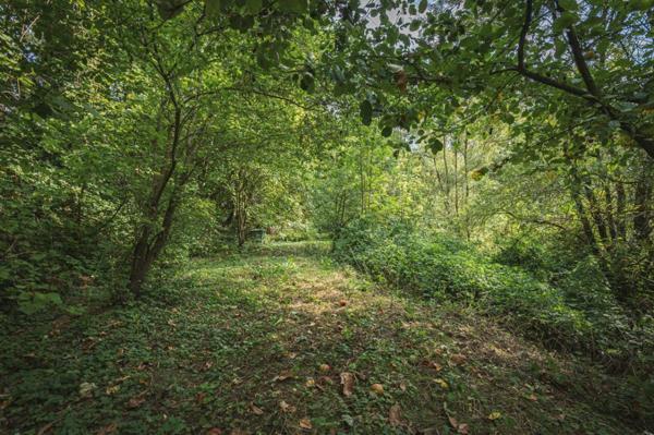 Terrain de loisirs, pêche, détente, Voie Verte